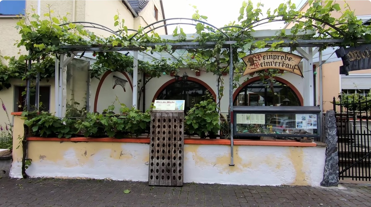 Вот так просто растёт виноград на одной из улочек в Германии 