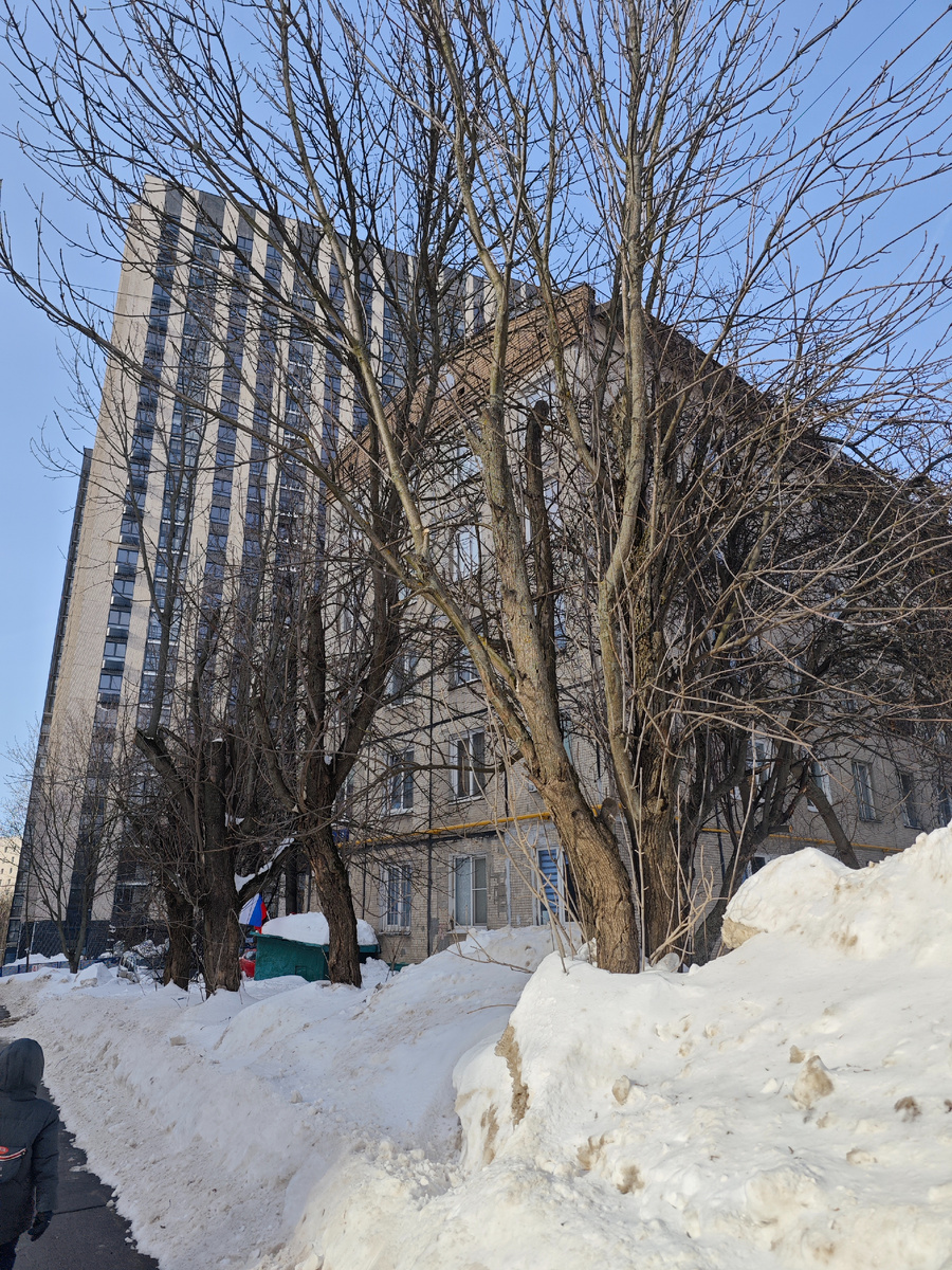 Фото автора канала 