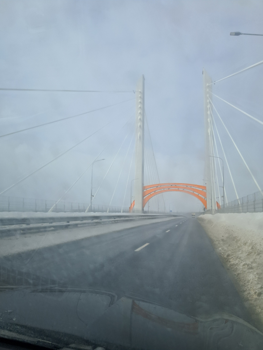 Новый вантовый мост через Оку по трассе М12 в районе Мурома. Февраль 2026 г. Фото автора 