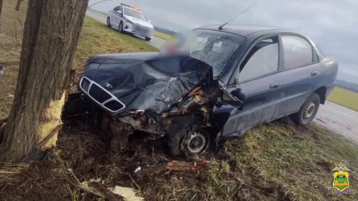    Фото t.me/mvd_23