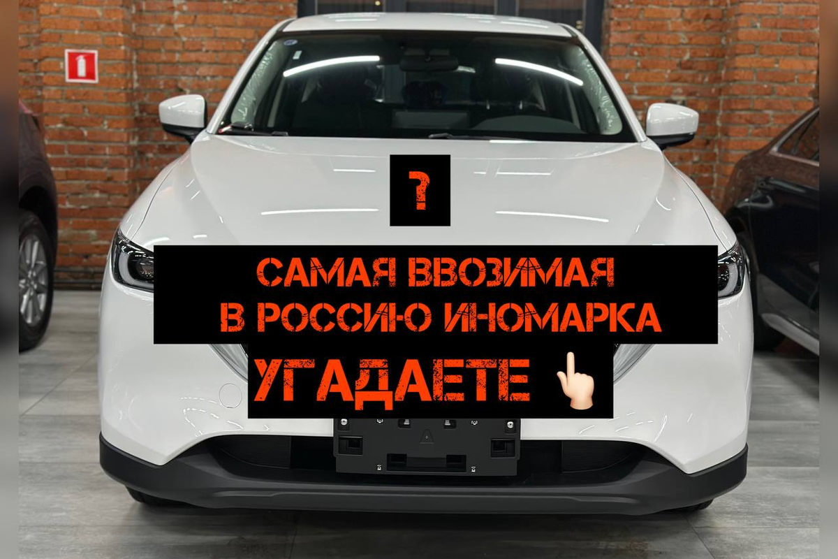 Самая ввозимая в Россию иномарка. Фото: Августинка Алена