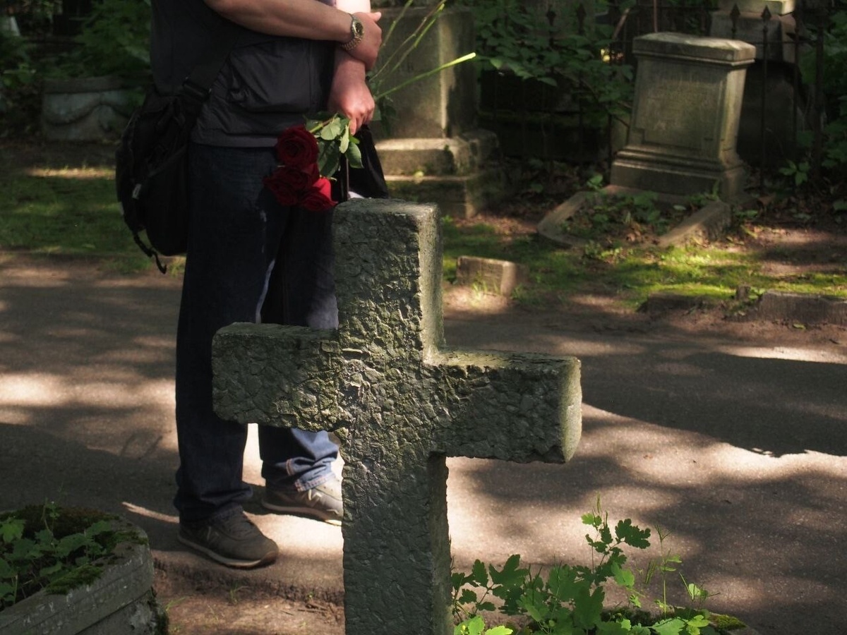     Фото: Бриф 24