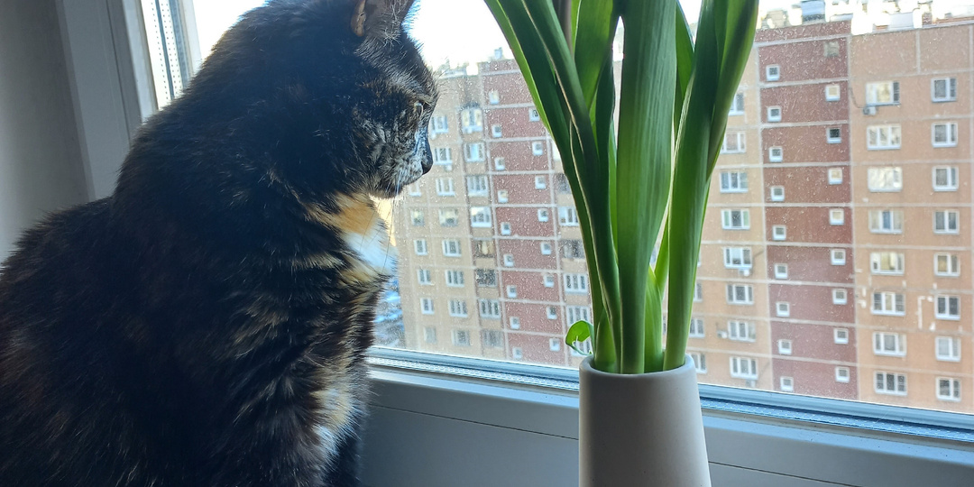 Мастерская счастья. О чем я веду блог.