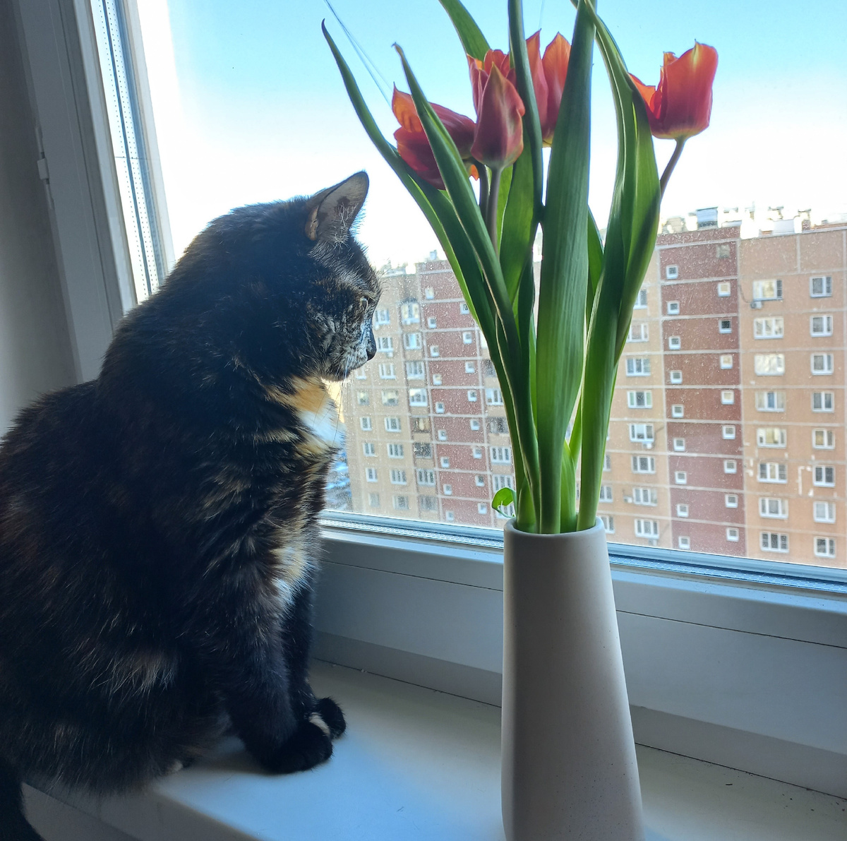 Весеннее фото для атмосферы