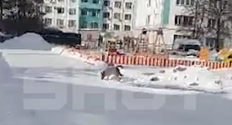    Telegram-канал SHOT