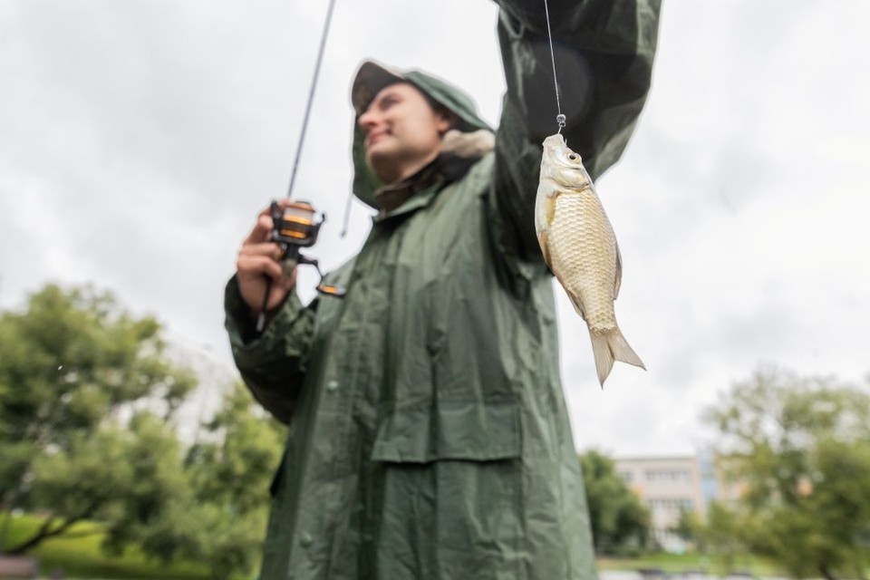    Ростовские ученые проверили безопасность рыбы из Азовского моря. Андрей АБРАМОВ