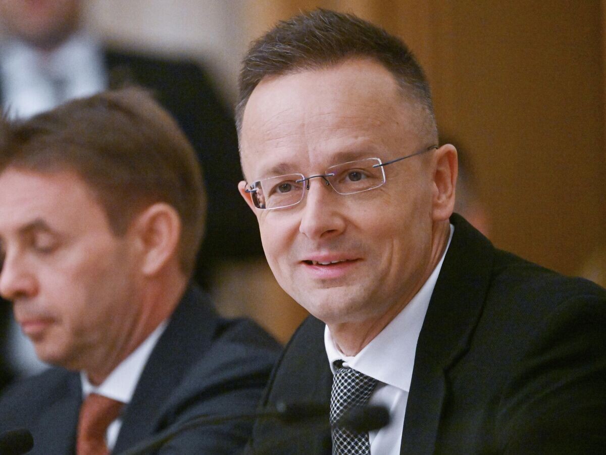    Министр иностранных дел Венгрии Петер Сийярто на 16-ом заседании Российско-Венгерской межправительственной комиссии по экономическому сотрудничеству | © РИА Новости / Кирилл Каллиников