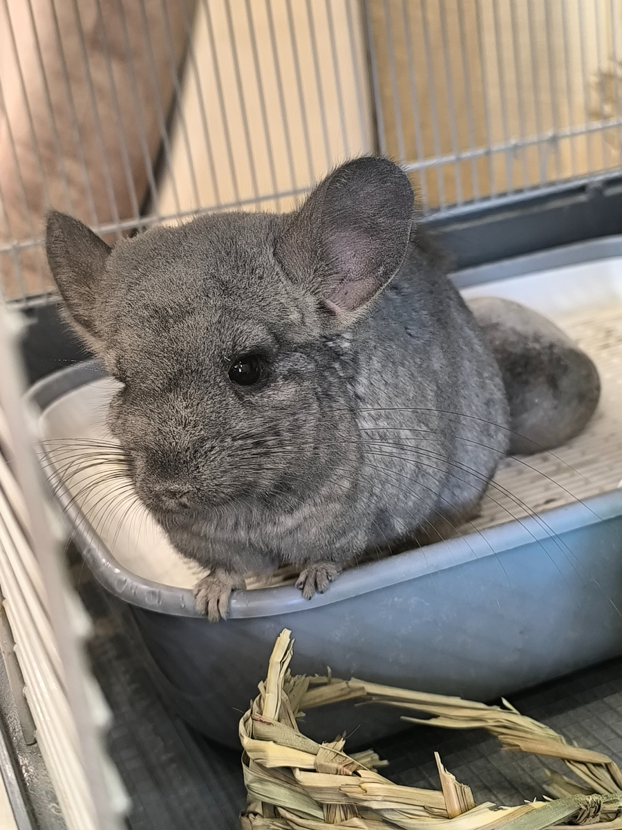 (© Анна, «Маяк энерджайзера»)