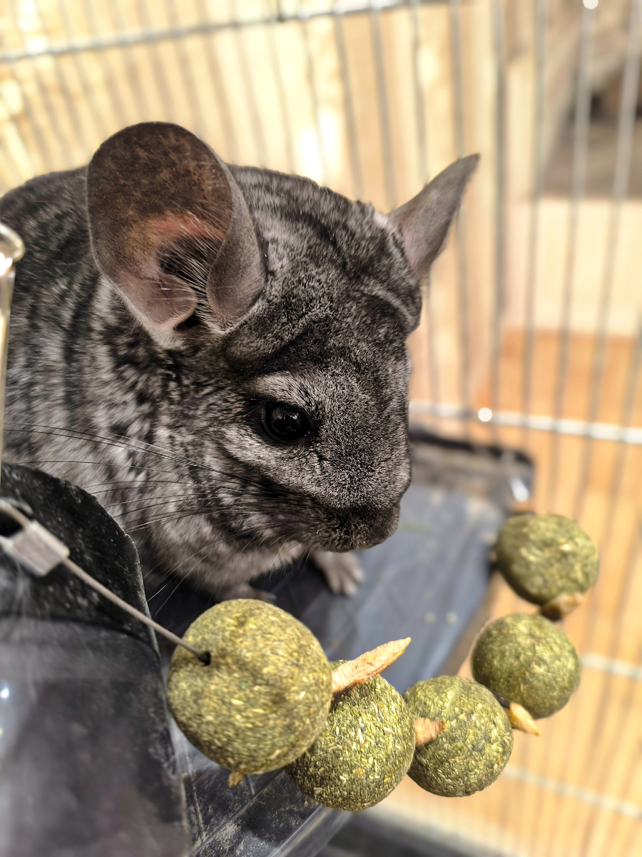 (© Анна, «Маяк энерджайзера»)