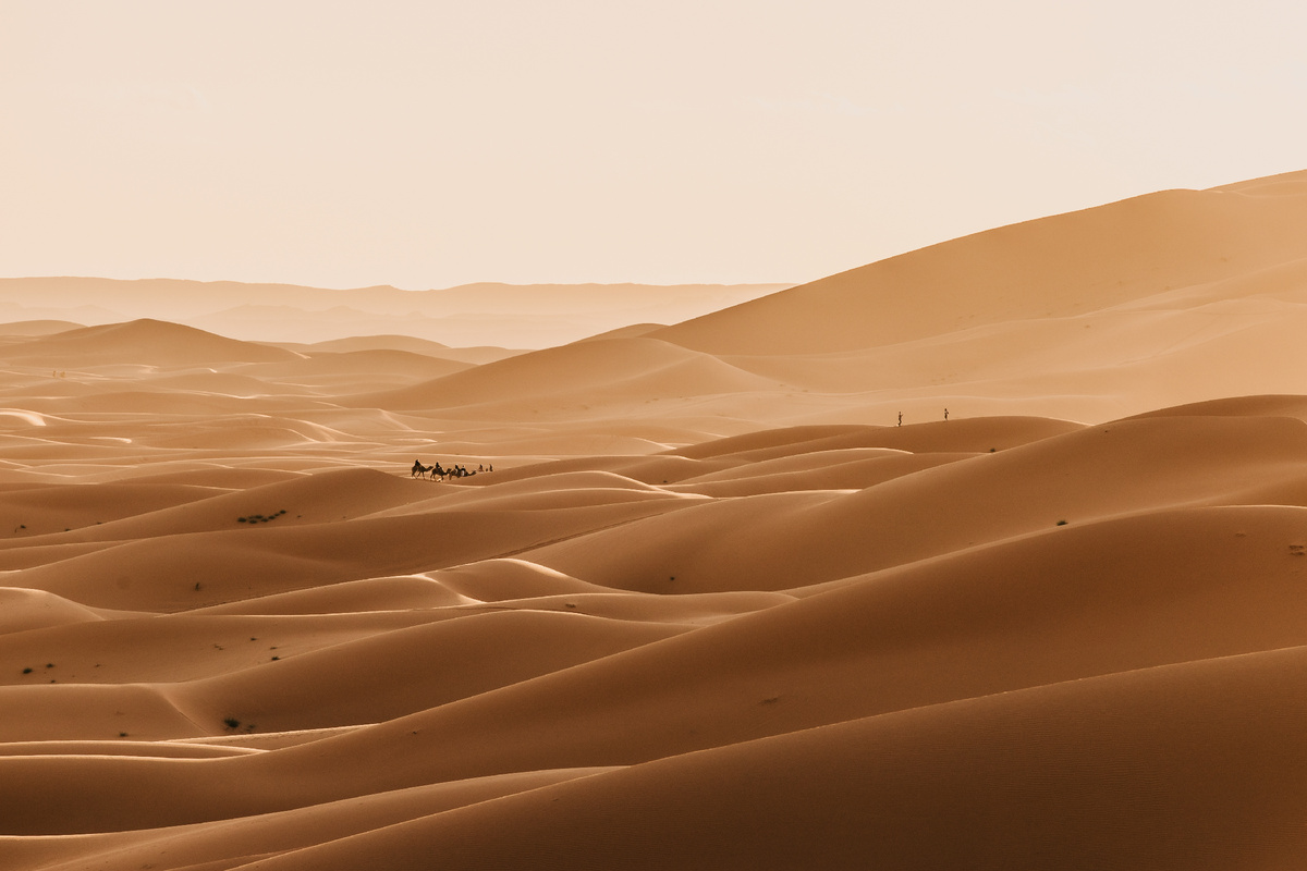 Сахара - крупнейшая жаркая пустыня мира. Источник: Shutterstock