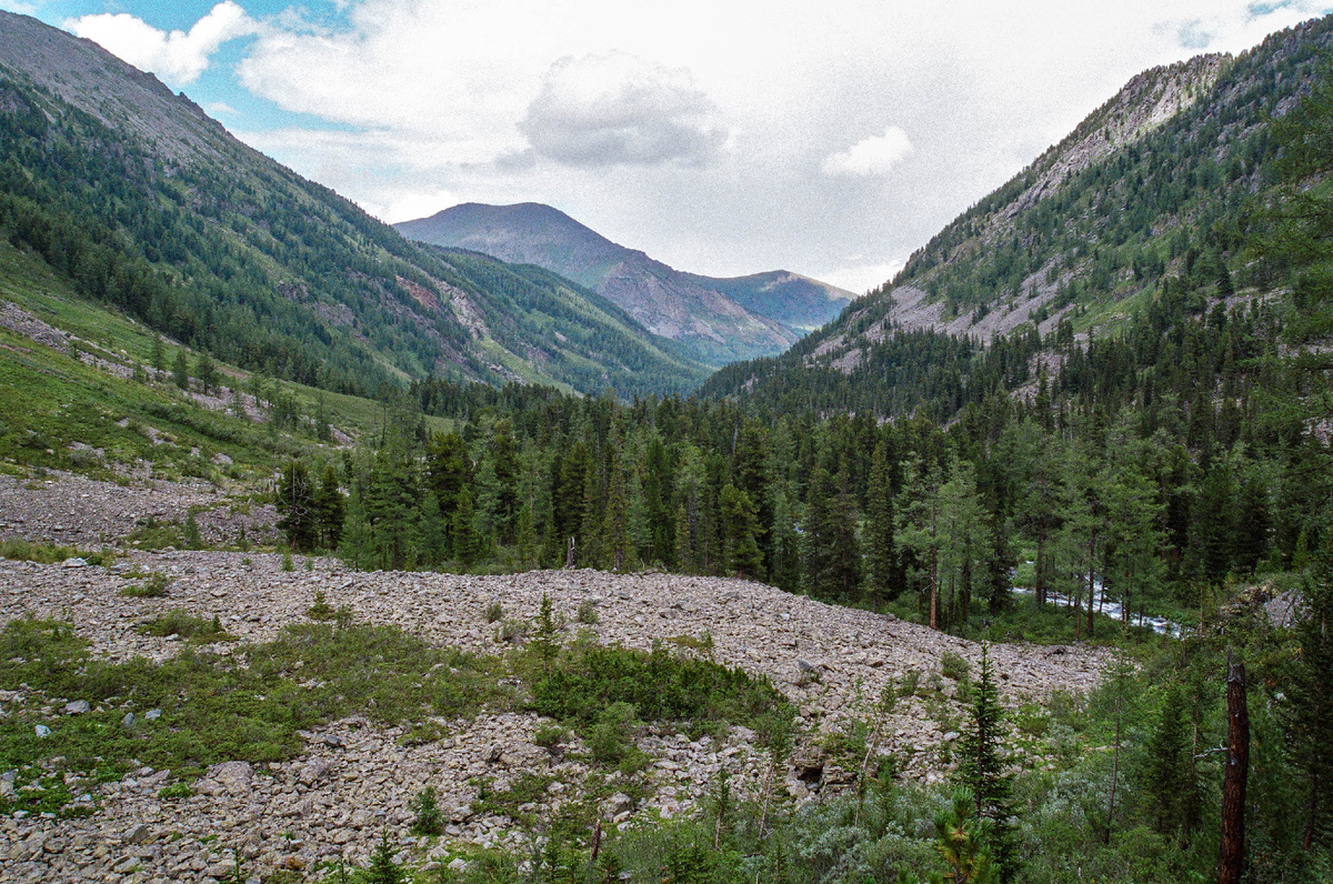 Вот оттуда, снизу мы и шли. И по курумнику, лично мне, было скакать куда приятнее, чем идти по траве.