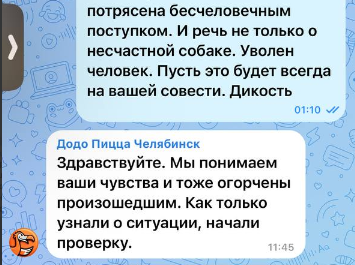    Фото: Скрин переписки в чате службы поддержки пиццерии