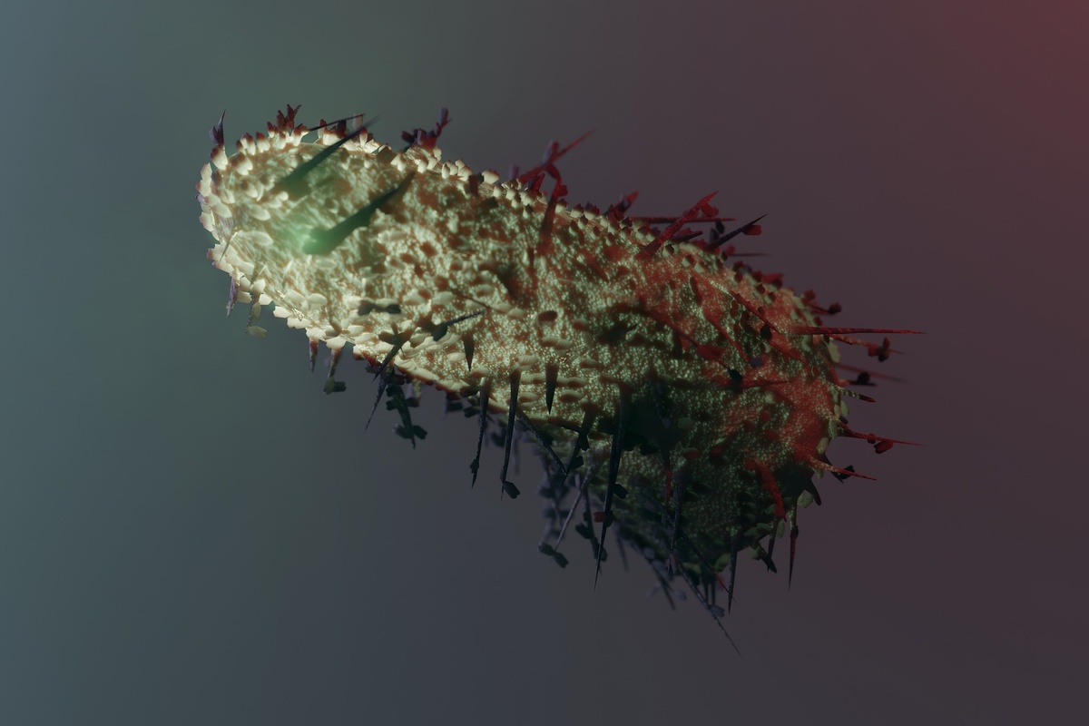    Фото с сайта pixabay.com