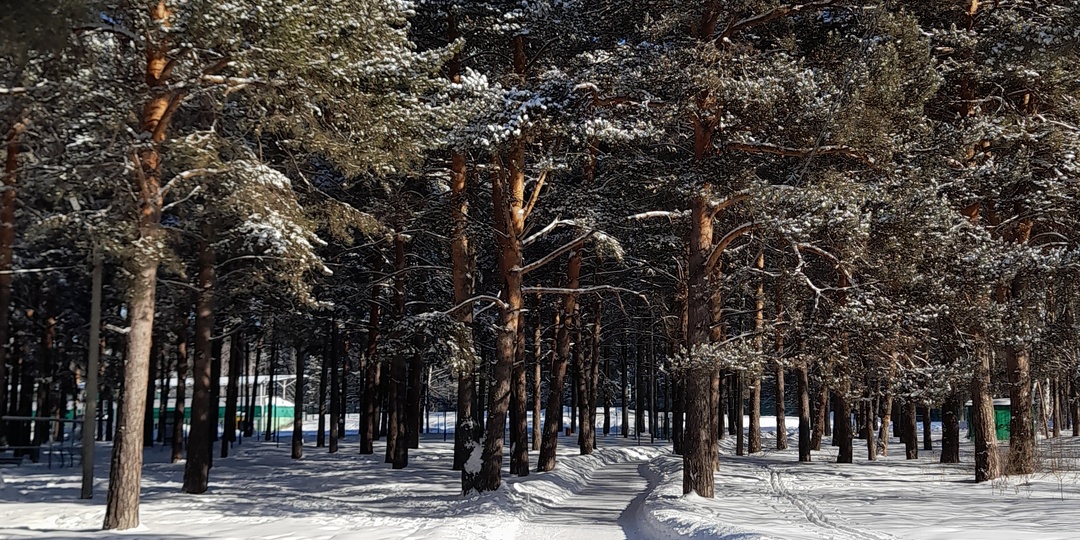 Зимняя прогулка в канун весны (желающие, присоединяйтесь)