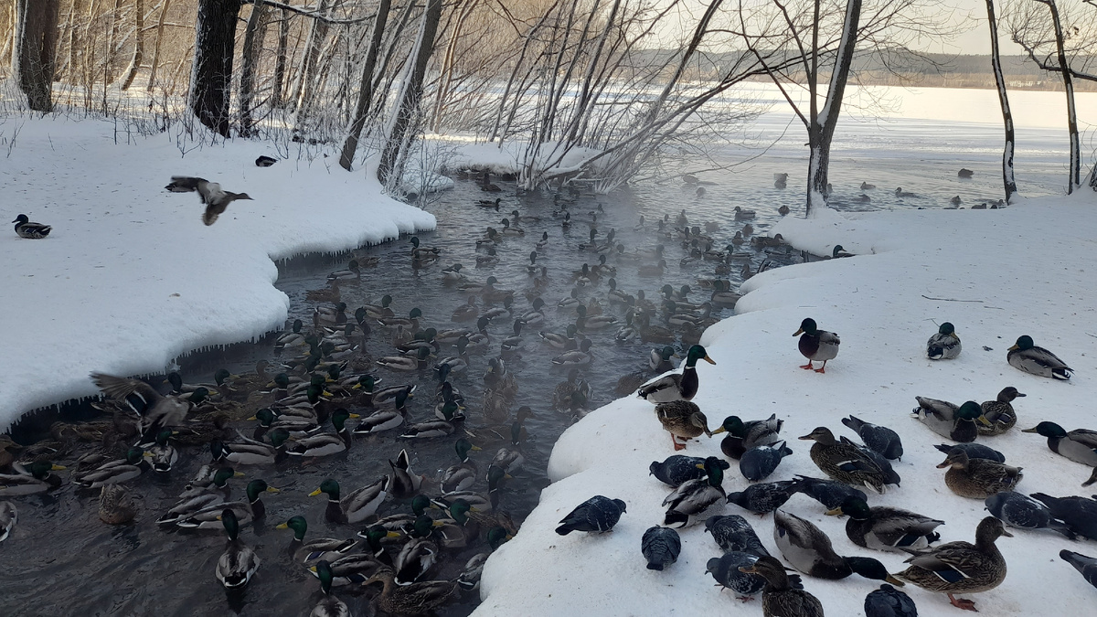 Листайте галерею