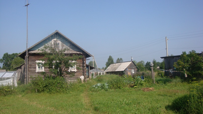 Фото автора. В гостях