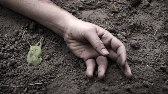 Обложка © Shutterstock / FOTODOM / ArtMari