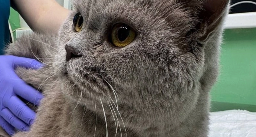    Фото: "Вместе с Верным Другом"