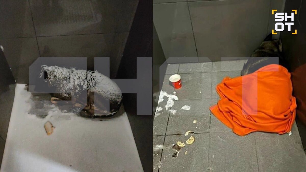 Источник https://static.life.ru/ip/unsafe/rs:fit:1200:/q:98/sh:0.5/czM6Ly9saWZlLXN0YXRpYy9wdWJsaWNhdGlvbnMvMjAyNi8yLzIzLzEwMDcxOTc5NDIxMjguODc2Ni5qcGc=.webp