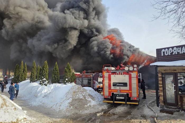 Обложка © Telegram/ SHOT