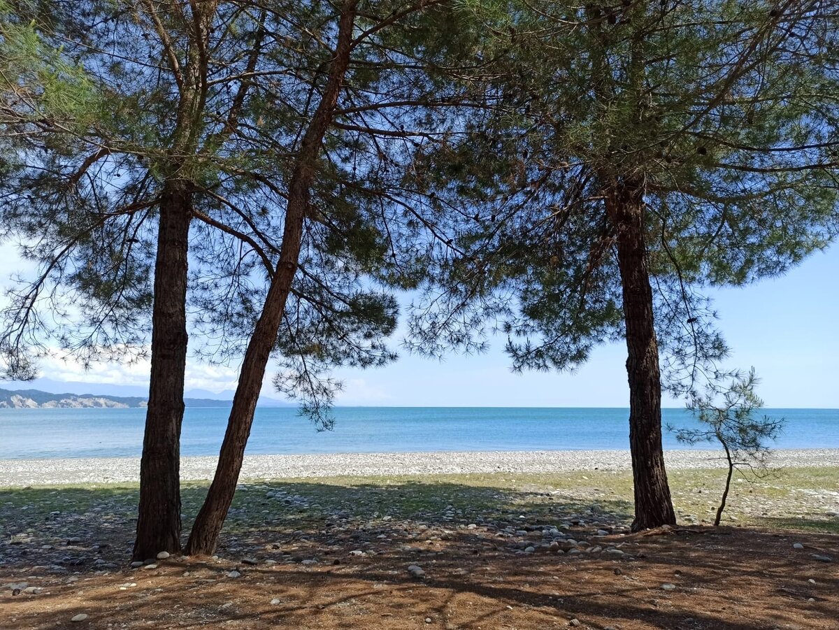 Пляжная полоса в Абхазии