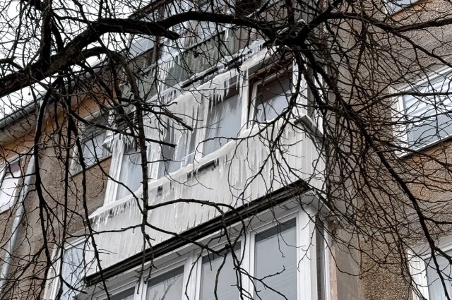    Фото: Объединённая редакция Инфоштаб/ Наталья Алымова