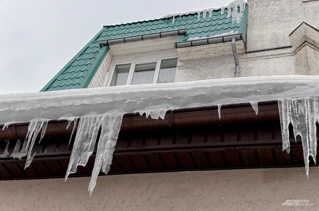    Фото: Объединённая редакция Инфоштаб/ Наталья Алымова