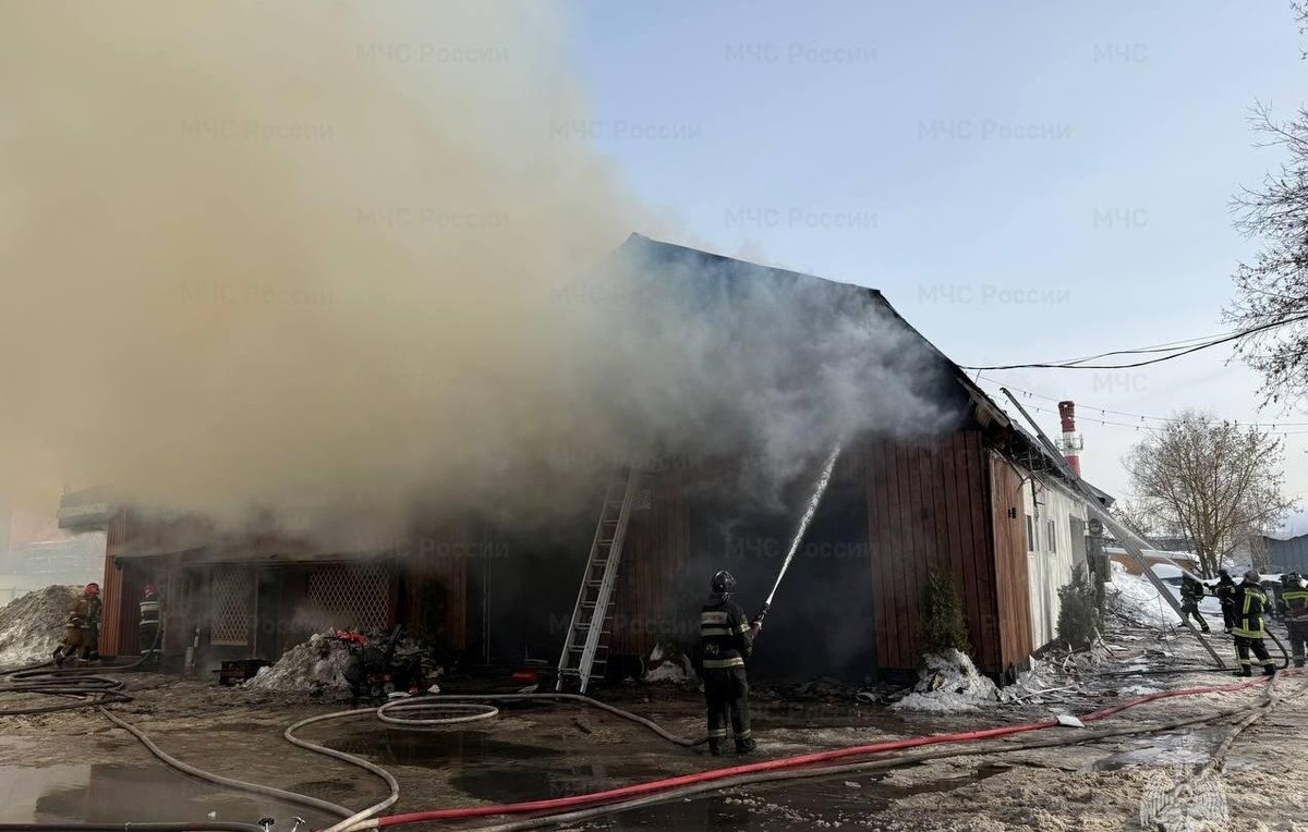 ГУ МЧС России по Московской области