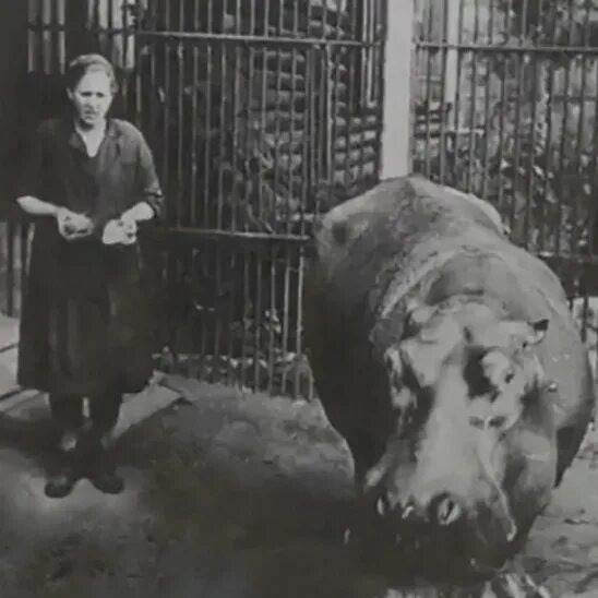 Фото из открытых источников.