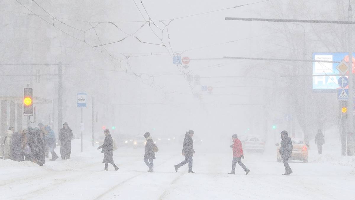    Фото: Василий Кузьмиченок / АГН Москва