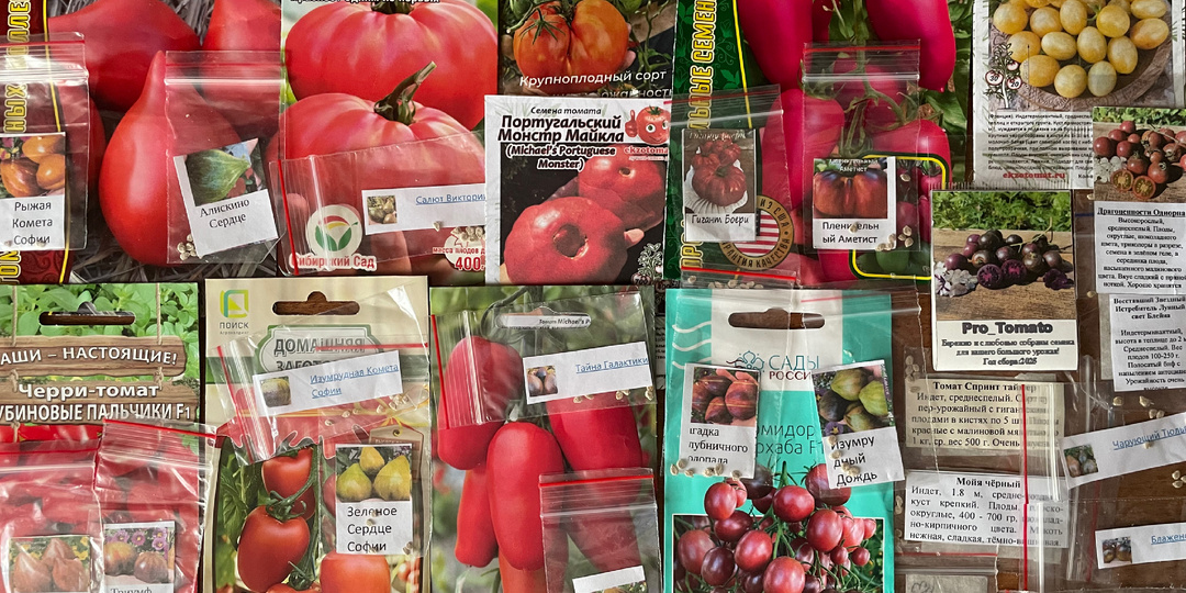 Скоро буду сеять томаты. Список 2026.