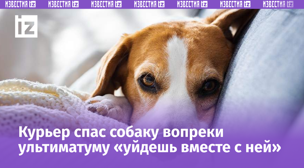 Фото: Global Look Press/Przemyslaw Iciak/imagebroker.com