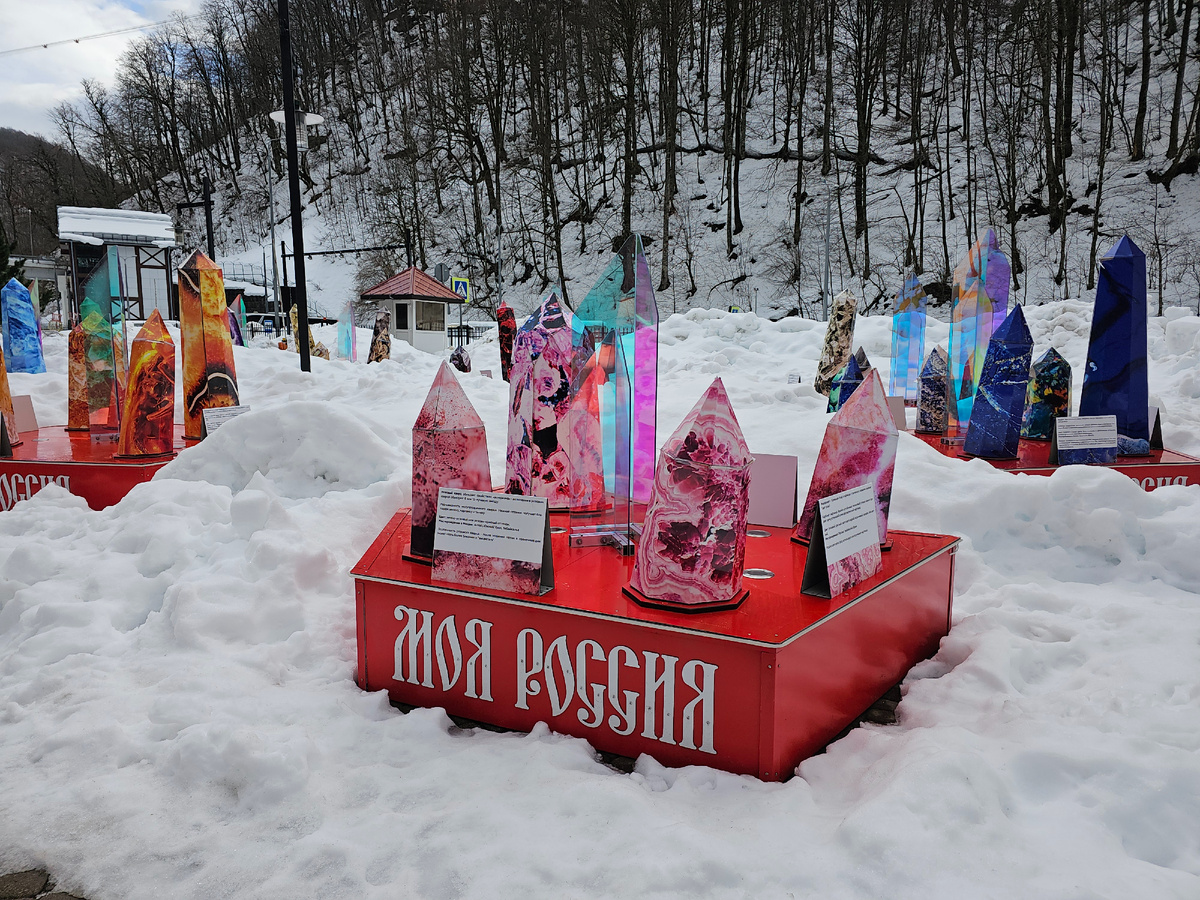 фото январь 2026