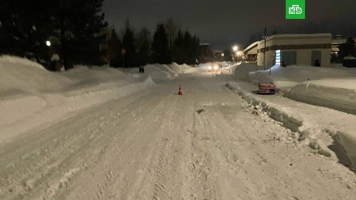    Фото: mosoblproc / t.me