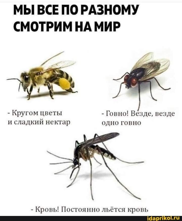 Почему люди видят мир по-разному?