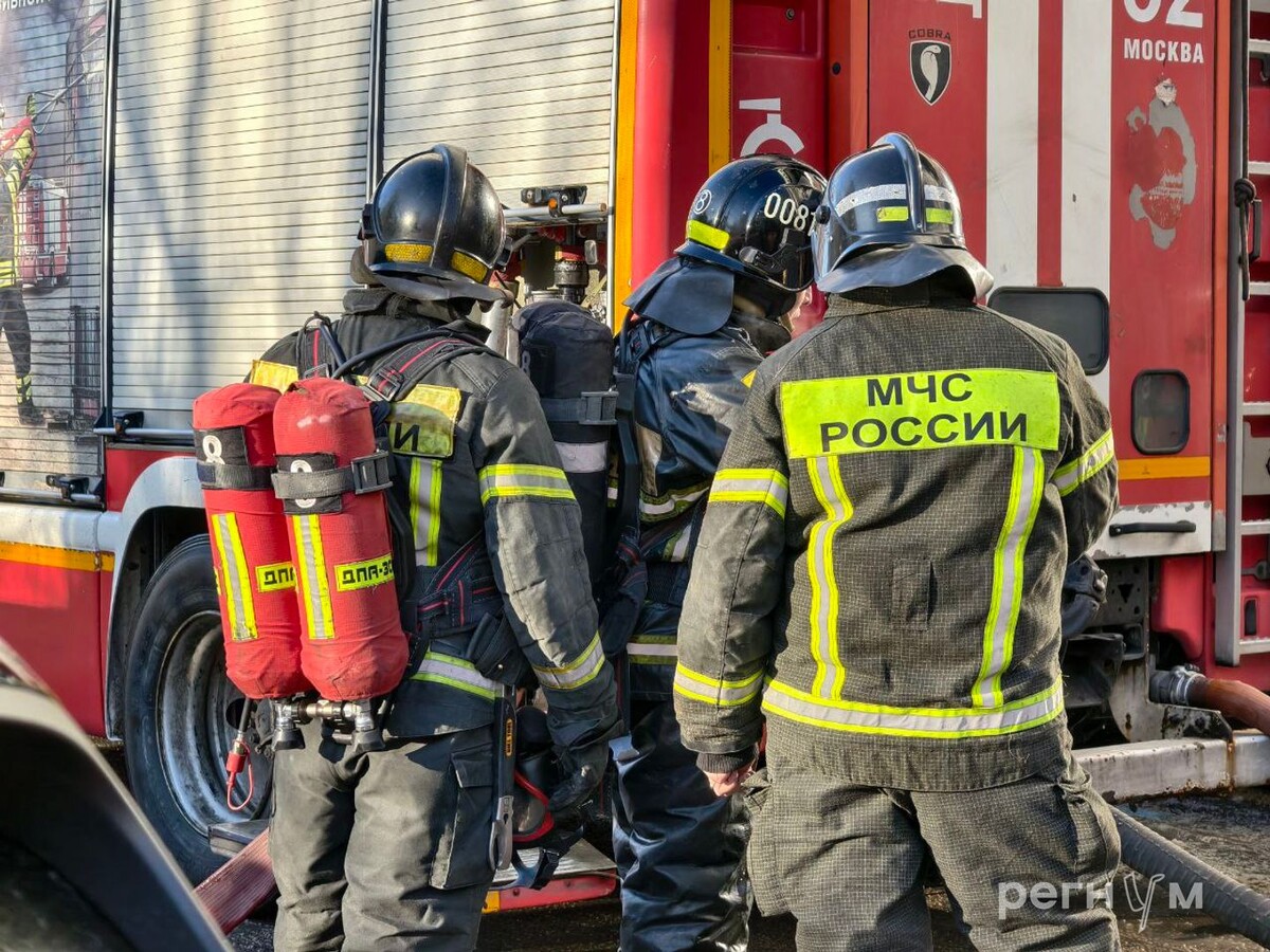     / Источник: Андрей Черкасский © ИА Регнум