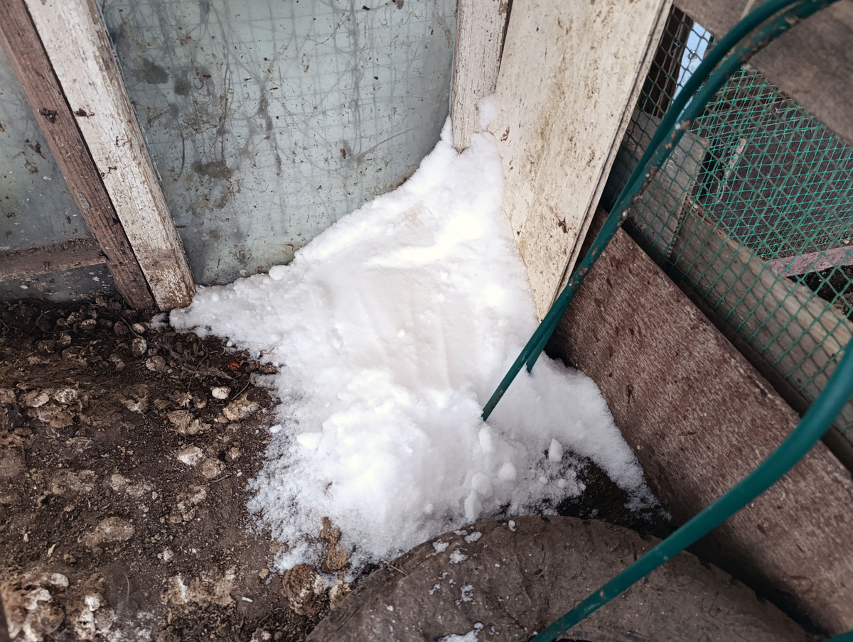 Так из норы никто и не вылез