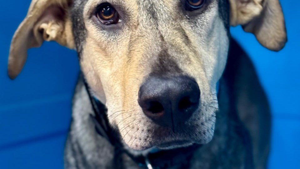 Самое страшное — она уже поняла, что её не выбирают.