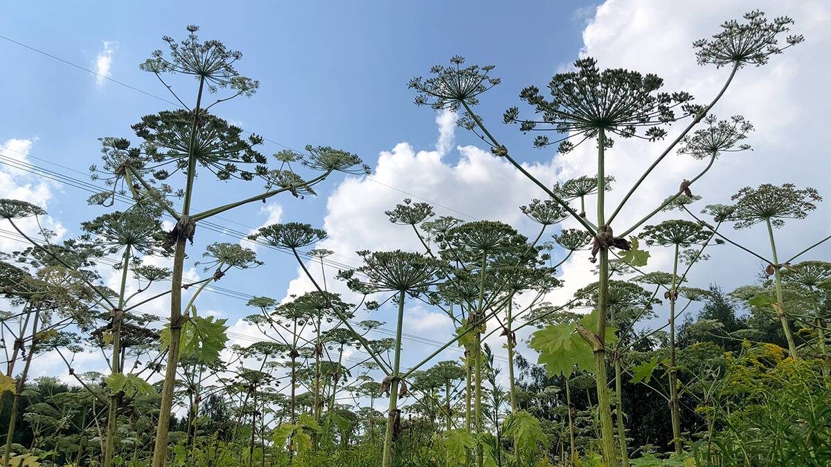    Фото: АГН Москва