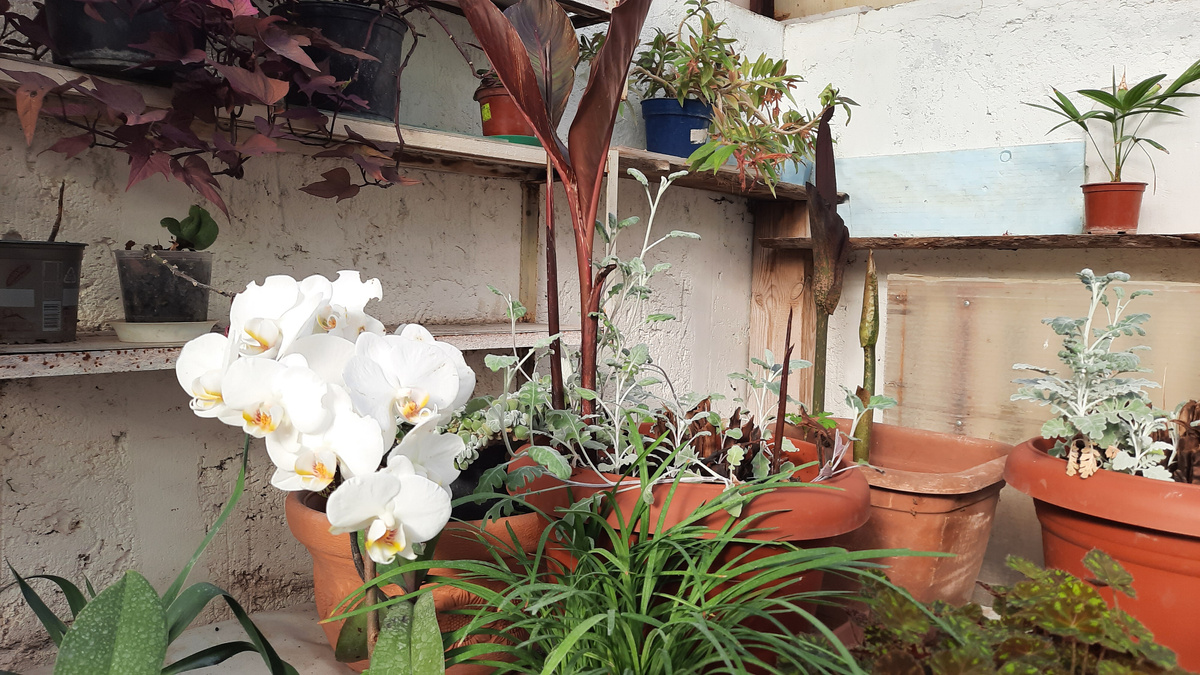 18 февраля 2026 г.