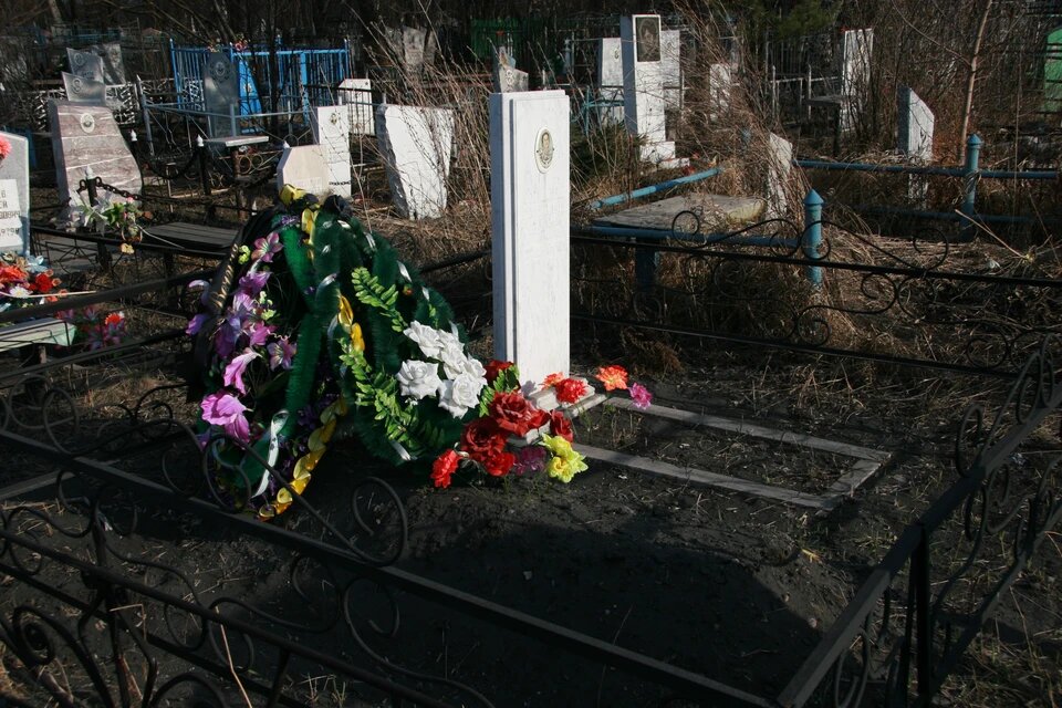 фото взято из источников