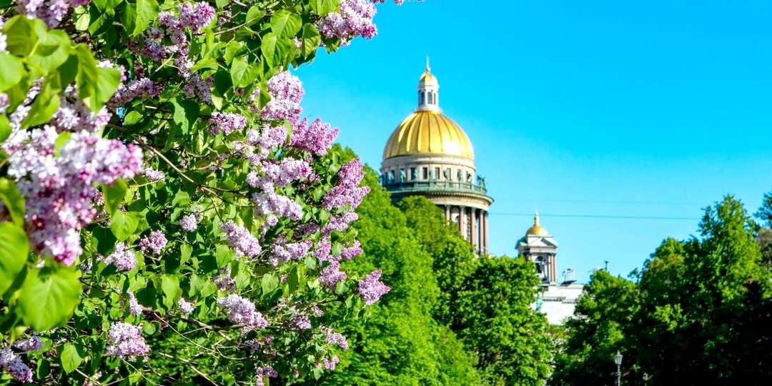 ОДНАЖДЫ ПОКИНУТАЯ