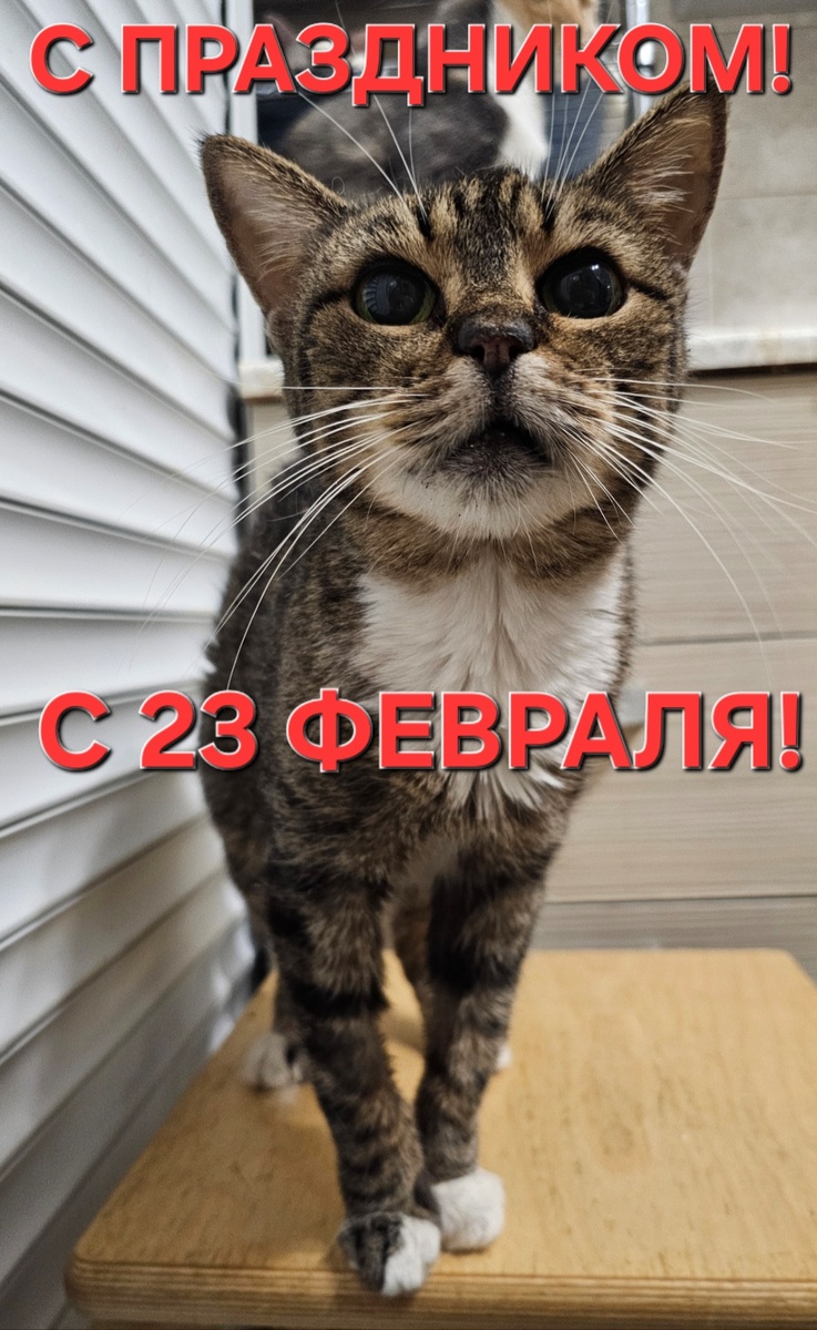 Фото автора. Маргоша ВДВ спешит тоже всех поздравить!