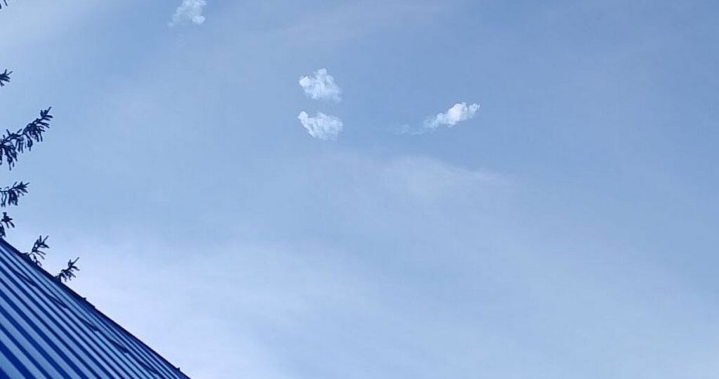 79 украинских беспилотников ликвидировали за сутки бойцы белгородских спецподразделений