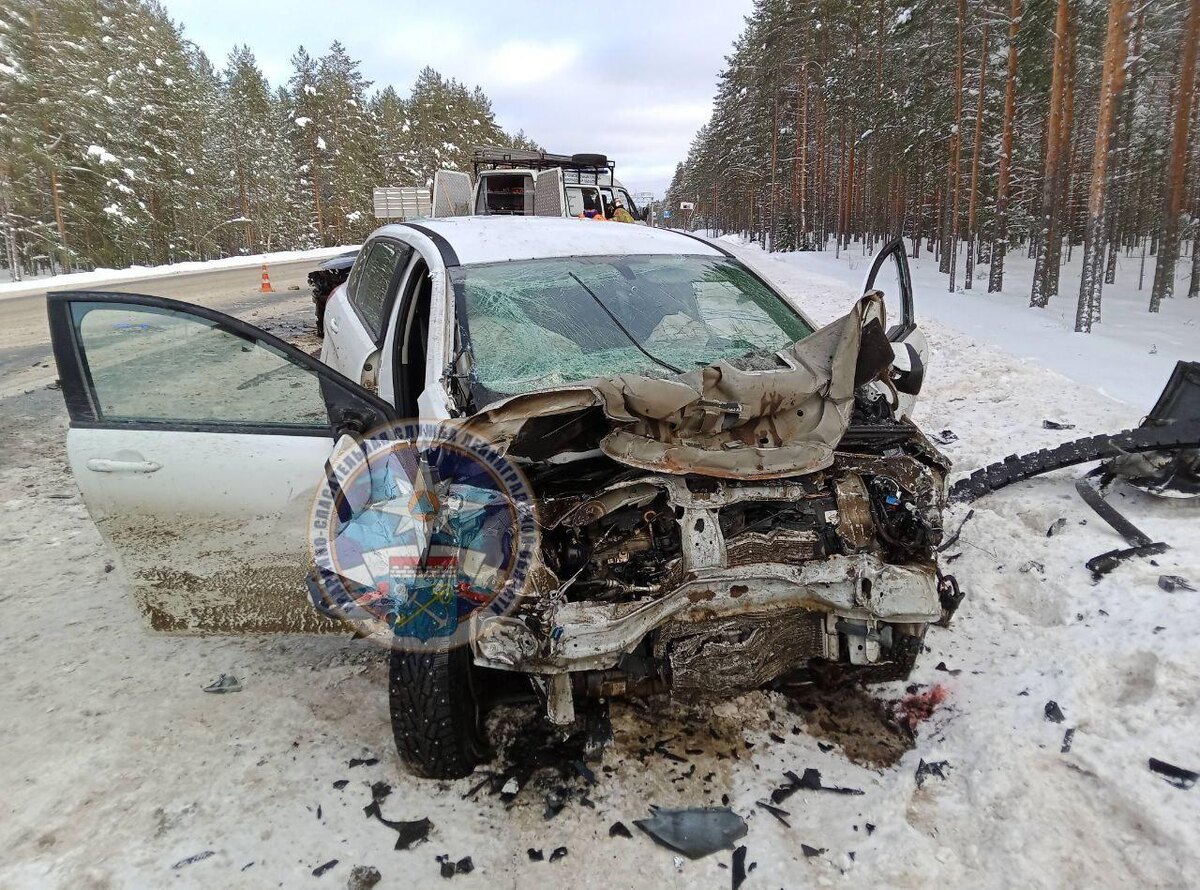    Фото: t.me/acclenobl