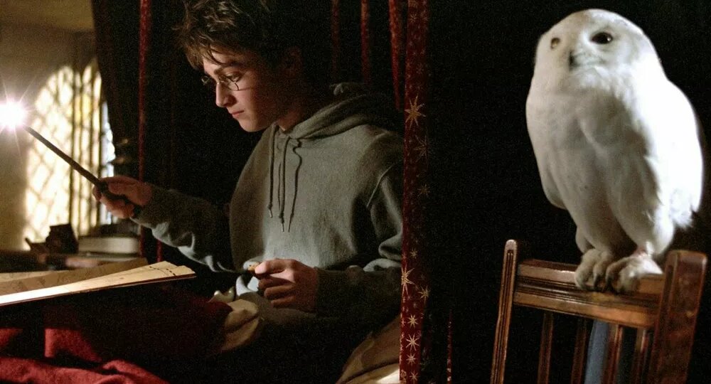 Дэниел Рэдклифф высказался об актерах нового "Гарри Поттера"