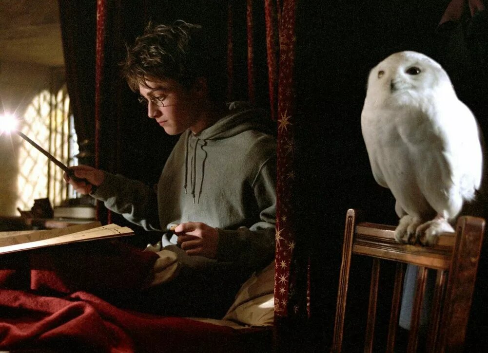     Дэниел Рэдклифф высказался об актерах нового "Гарри Поттера"