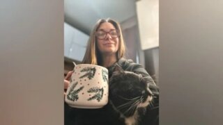    vk.com/vashymish Юлия Виноградова