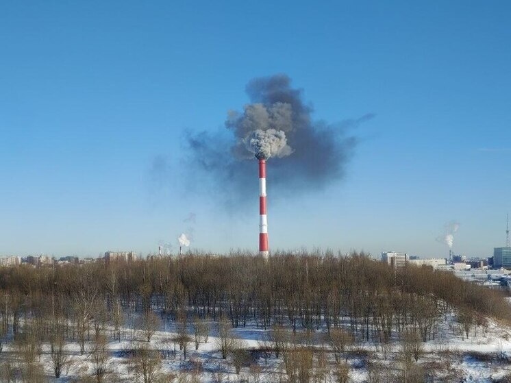     Фото: читатель "МК в Питере"