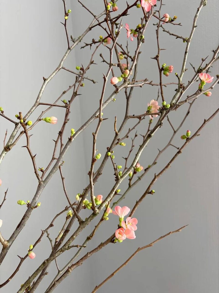 Весеннее настроение